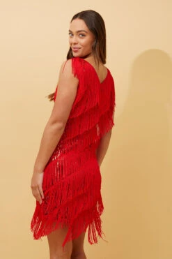 ZANDRA FRINGE FLAPPER DRESS -Printedcarpetus 0d6b7fc63dc5f4722f2b1a27ce7778b4