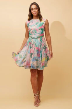 SANTOS FIT AND FLARE DRESS -Printedcarpetus 47eb1fc9733daf2b6fb12fdf8394831b