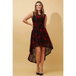 VEGAS LACE MIDI DRESS -Printedcarpetus 57c39d8182d040395eabe0a35d21543b