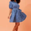 ROSALINDA DENIM SHIRT DRESS -Printedcarpetus 8e7be83edc121b420d6c8890c6b29049