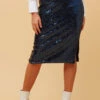 WINSOME SEQUIN MIDI SKIRT -Printedcarpetus ac6e7b9de768f0bf9d30a2a5dd5a7ebe